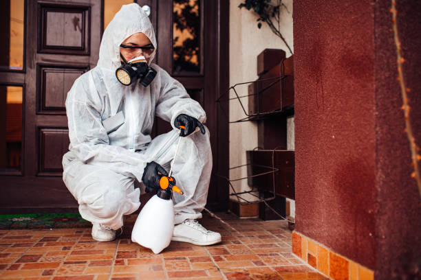 Reliable Wasp Removal contractor in Haines City, FL by Show Me Pest Control