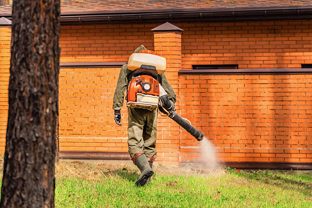 Top rated local Wasp Removal specialists in Haines City, FL
